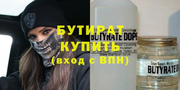 гашик Алексин