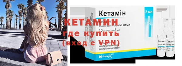 гашик Алексин