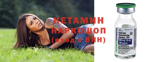 гашик Алексин