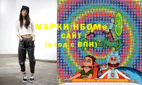 гашик Алексин
