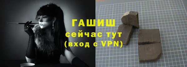 гашик Алексин