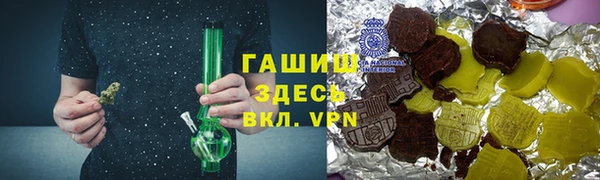 гашик Алексин