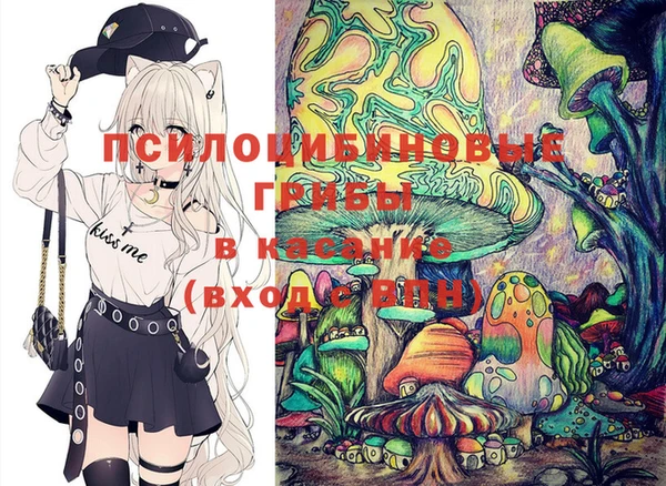 круглые Алзамай